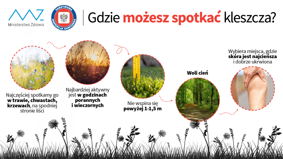 Gdzie można spotkać kleszcza