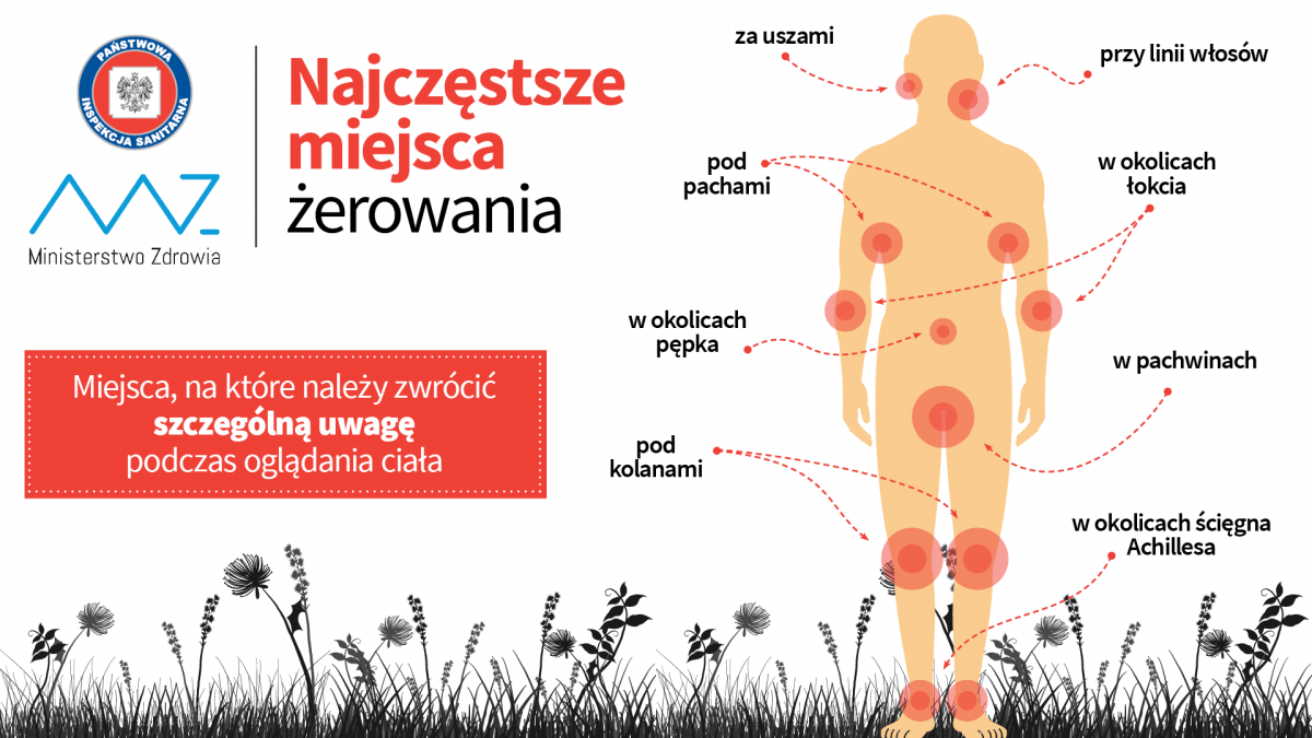 Miejsca żerowania 